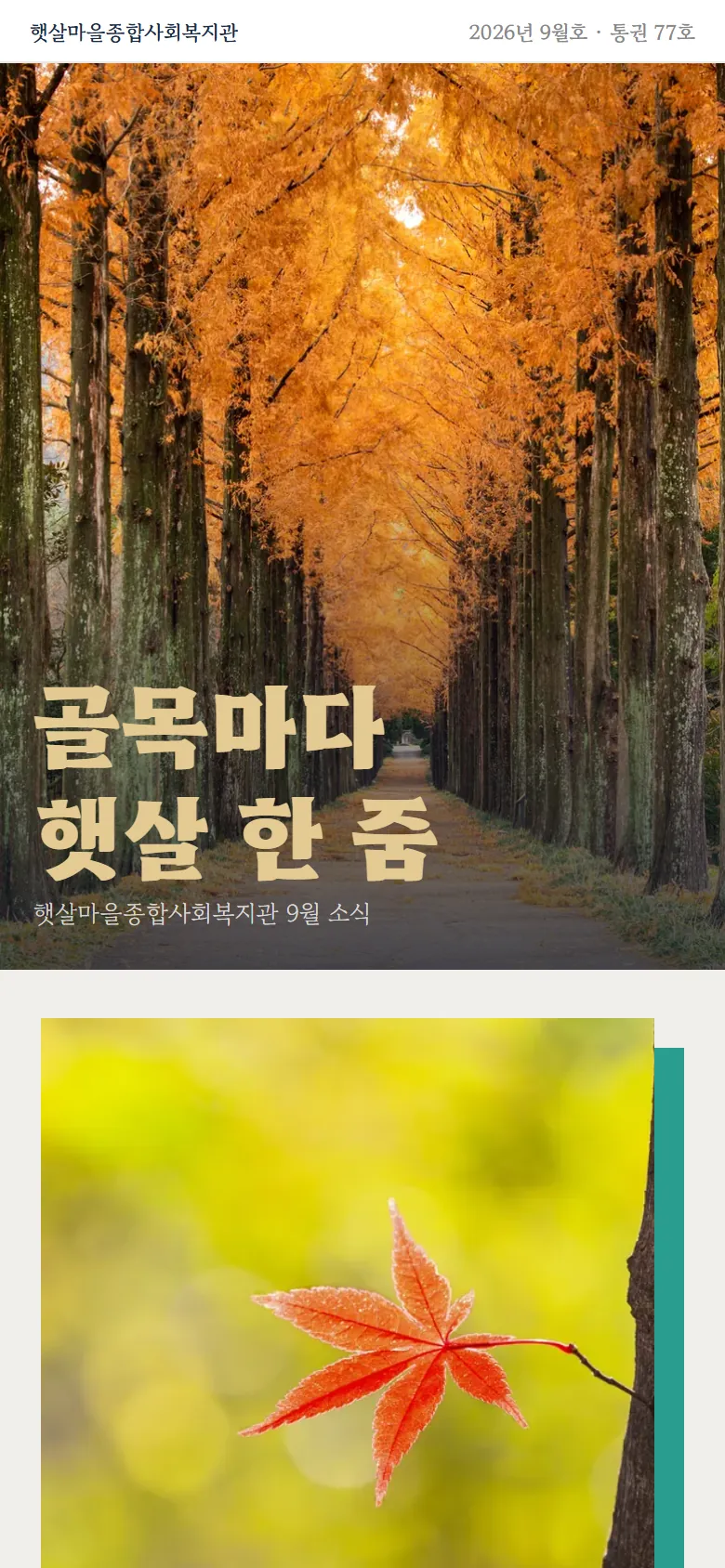 소식 디자인까지